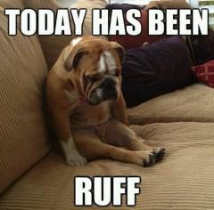 Today has been Ruff