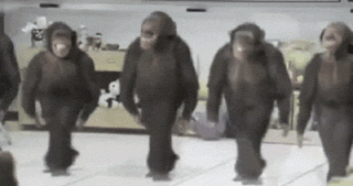 dancing-monkeys.gif
