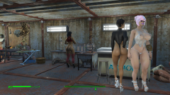 Fallout 4 Gallery