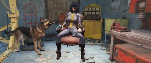 More information about "[Fallout 4] [FusionGirl] Transparent Vault Suits"