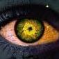 The Eye