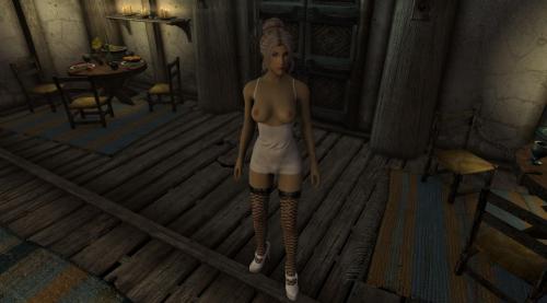 More information about "BHUNP Miniskirts Ver. 1 [Skyrim SE]"